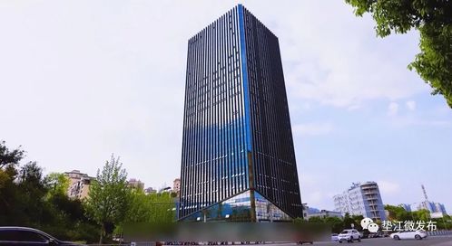 墊江 揚(yáng)帆啟航高新路，數(shù)字技術(shù)服務(wù)賦能縣域發(fā)展新篇章